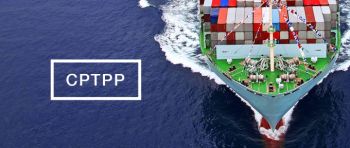 Việt Nam chuyển dần từ nhập siêu sang xuất siêu với CPTPP